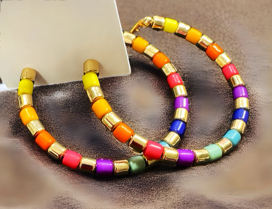 Multi-Colored Earrings